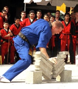 Brick Breaking Small Web view